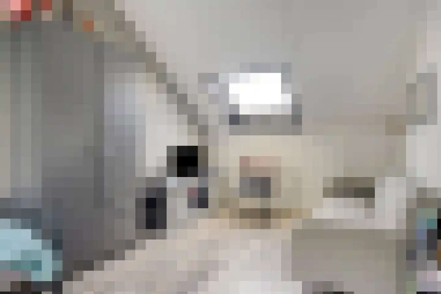 Arendsdaalder 8 Dronten thumbnail 34