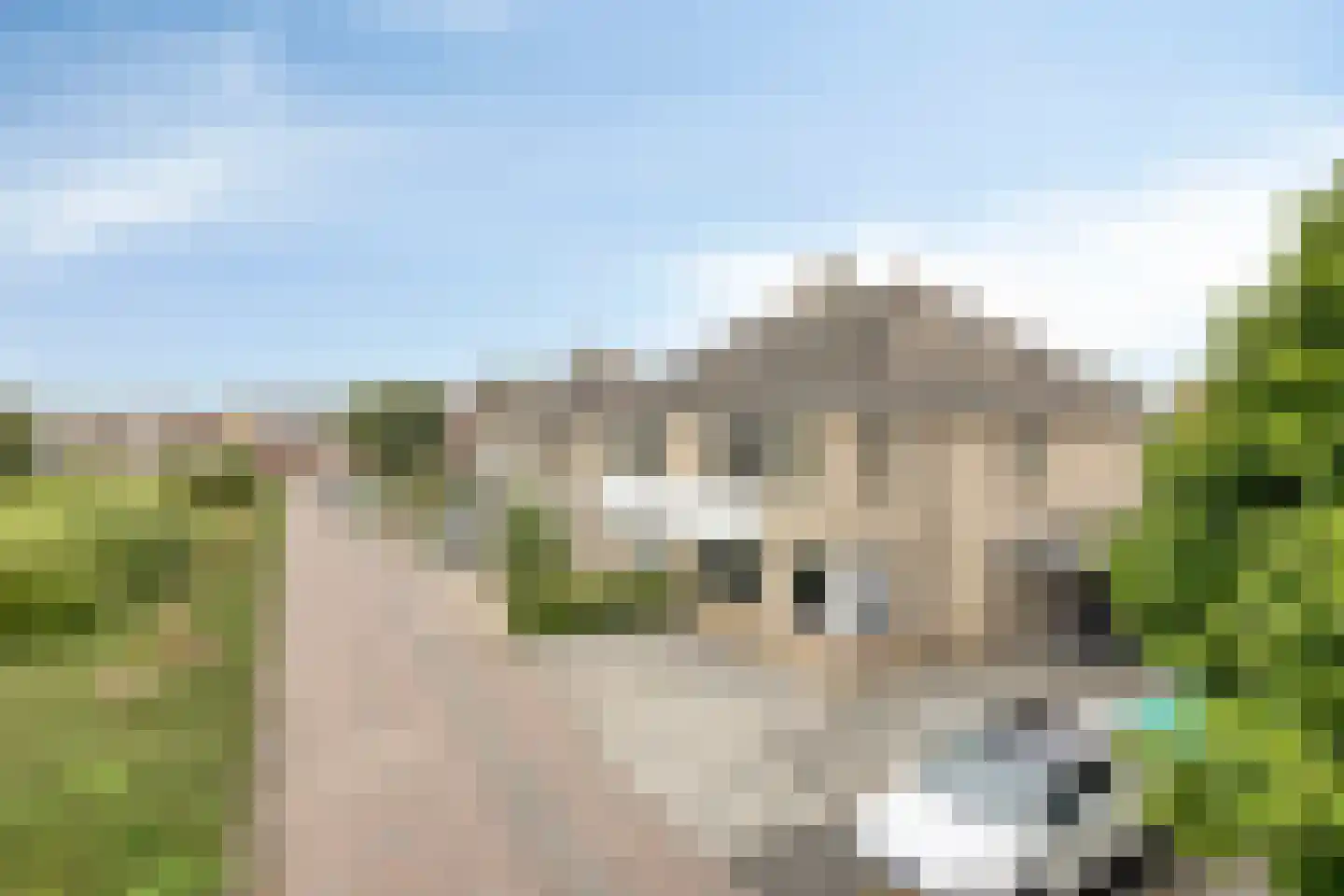 Arendsdaalder 8 Dronten thumbnail 44