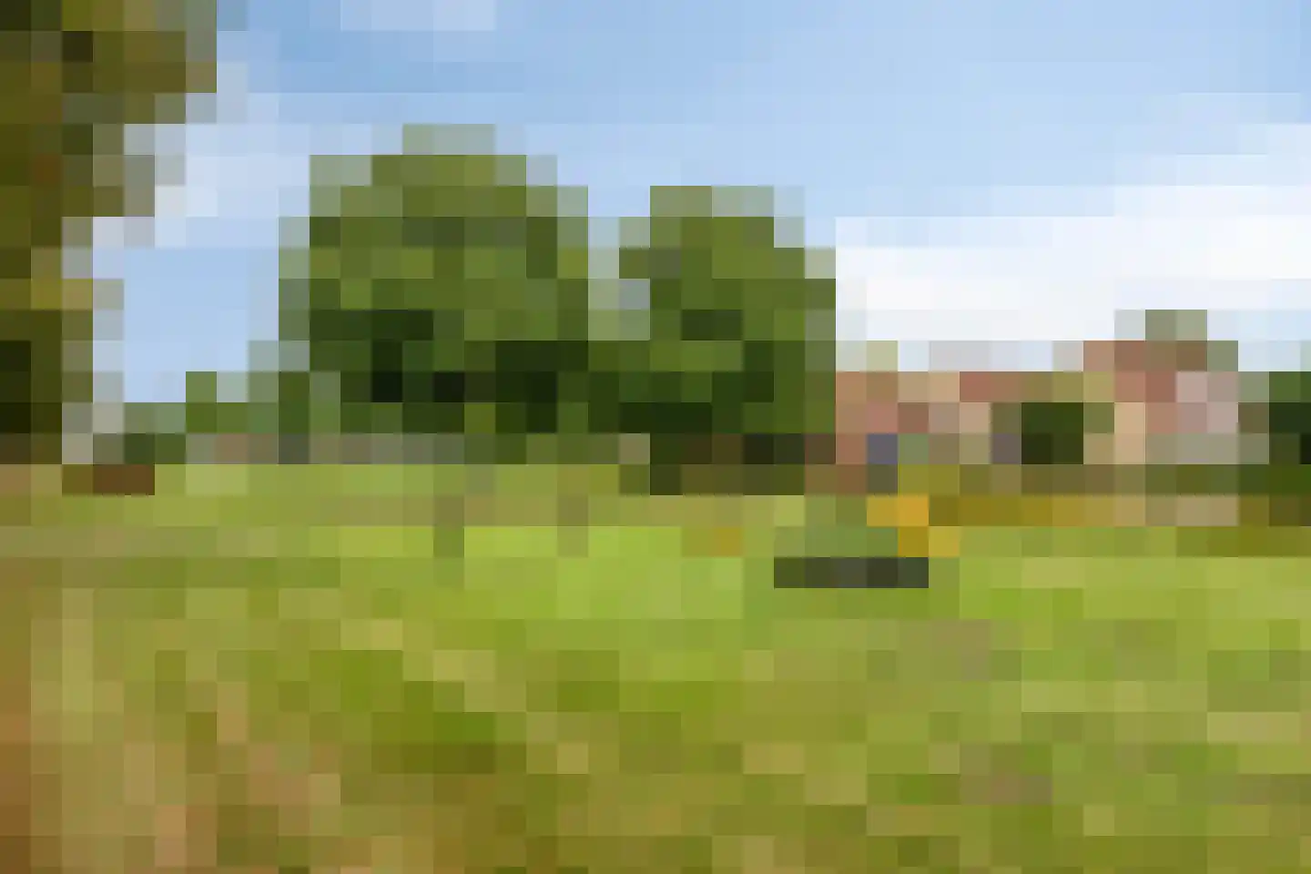 Arendsdaalder 8 Dronten thumbnail 46