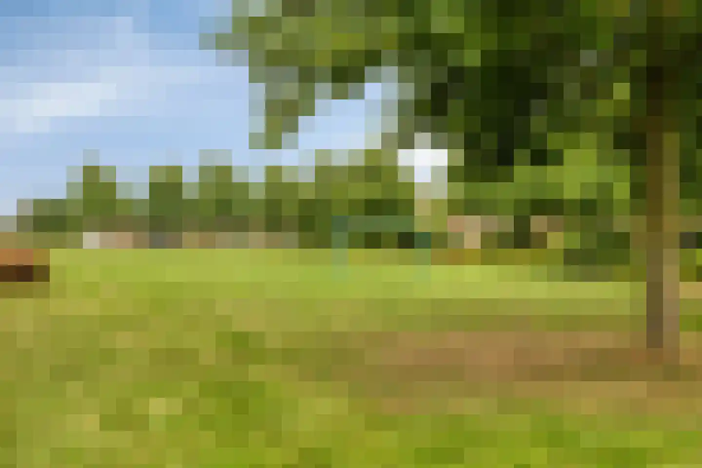 Arendsdaalder 8 Dronten thumbnail 47