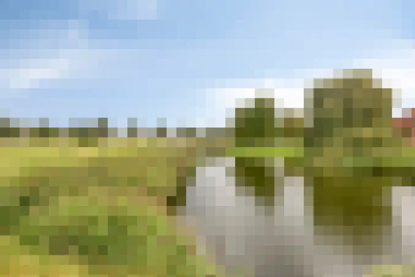 Arendsdaalder 8 Dronten thumbnail 49