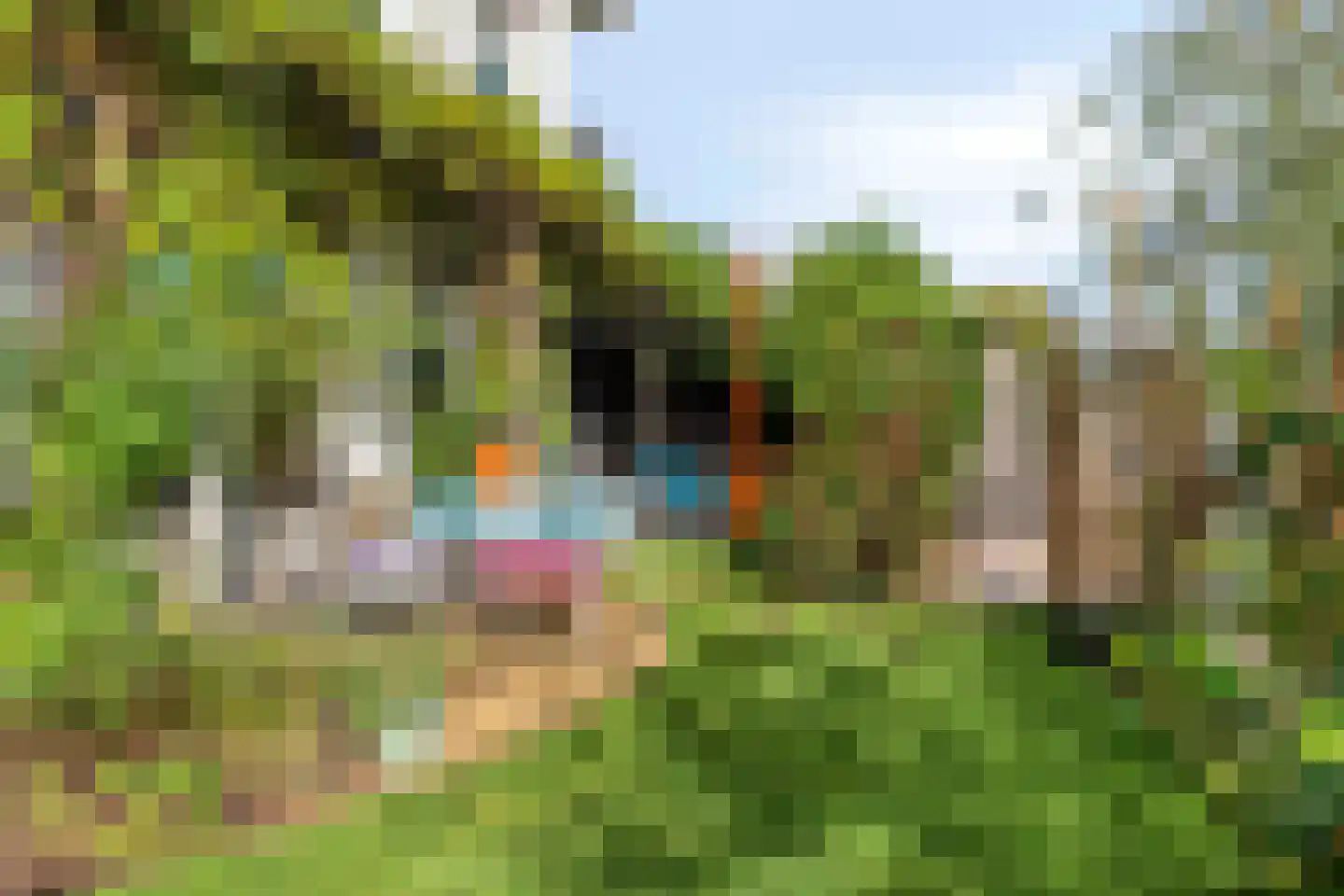 Arendsduin 1 Oegstgeest thumbnail 22
