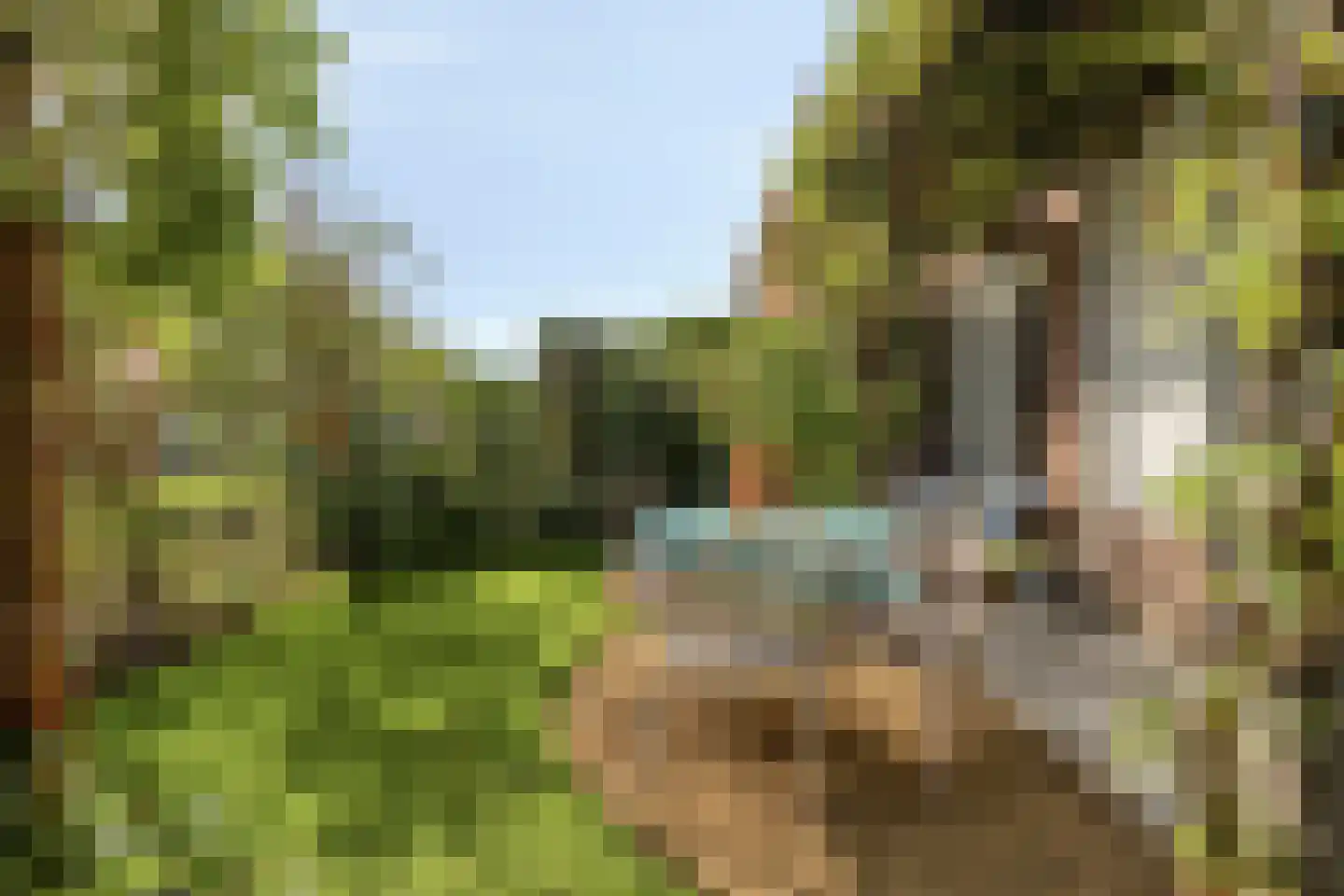 Arendsduin 1 Oegstgeest thumbnail 23
