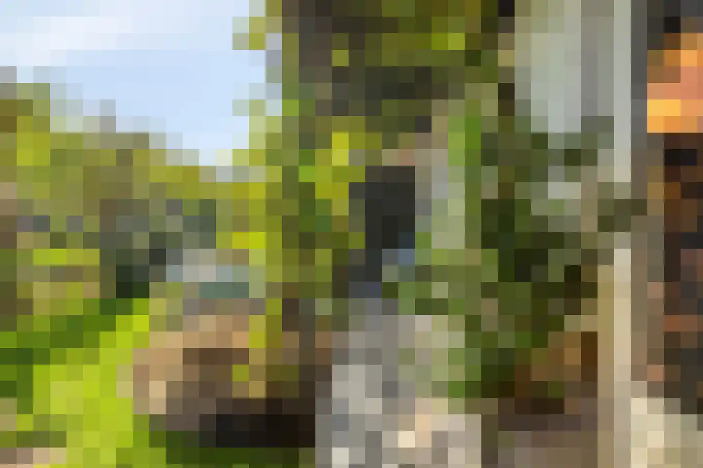 Arendsduin 1 Oegstgeest thumbnail 25
