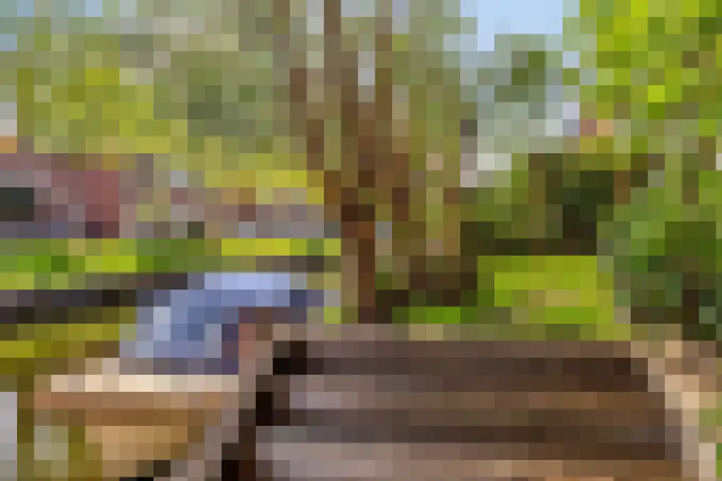 Arendsduin 1 Oegstgeest thumbnail 28
