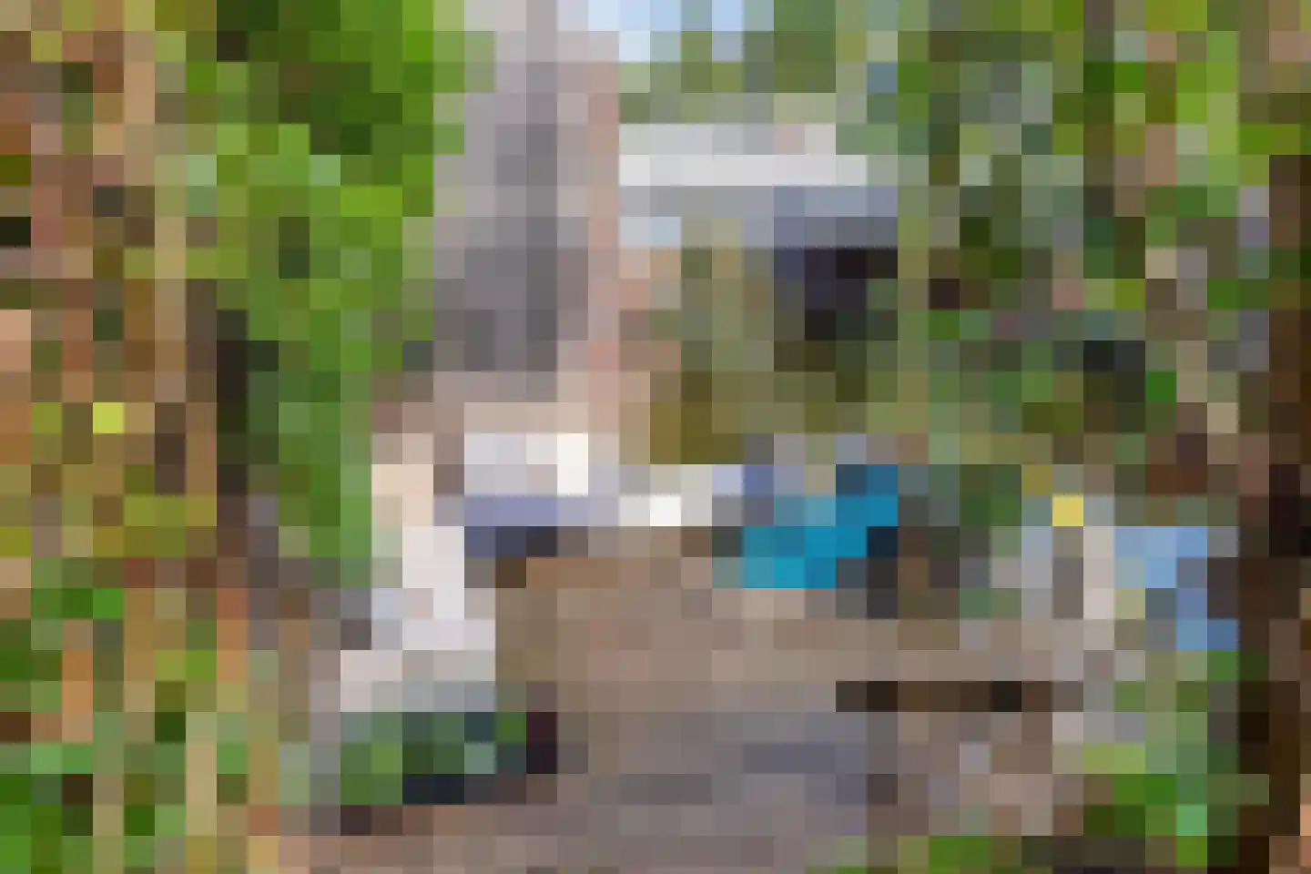 Arendsduin 1 Oegstgeest thumbnail 29