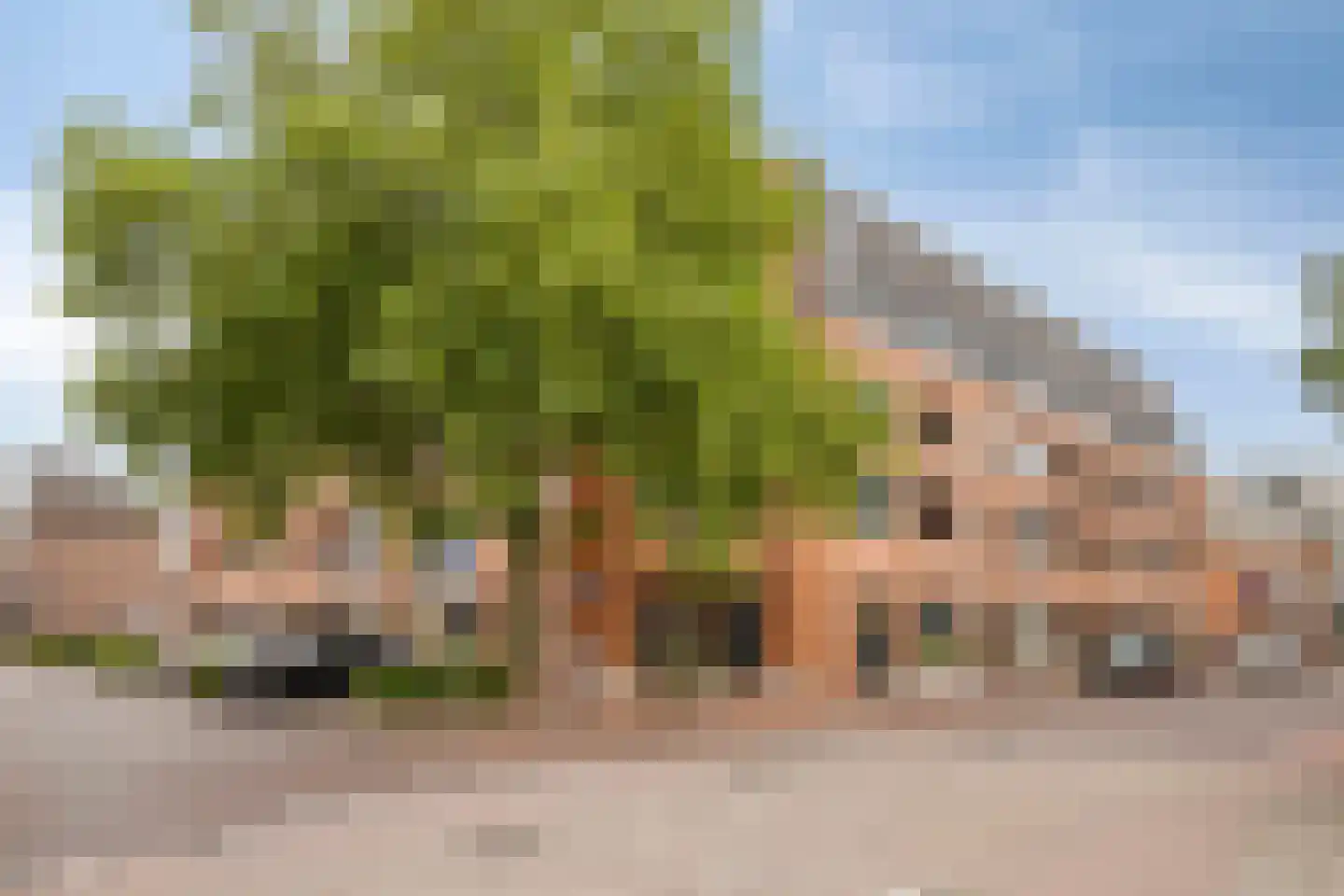 Arendshof 325 in Oosterhout