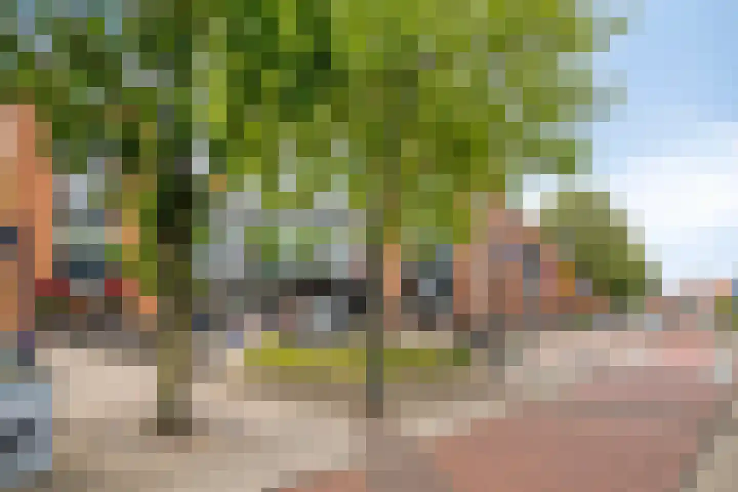 Arendshof 325 Oosterhout thumbnail 29