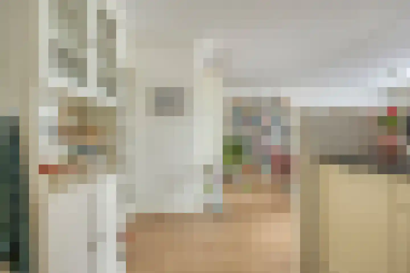 Arendshof 339 Oosterhout thumbnail 12
