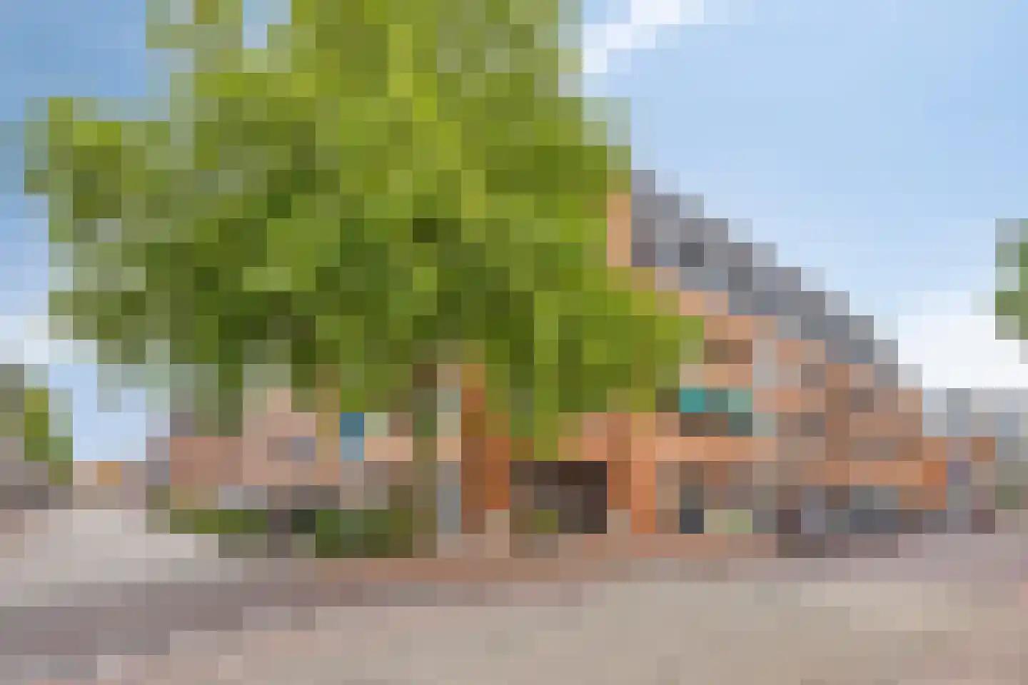 Arendshof 339 Oosterhout thumbnail 36