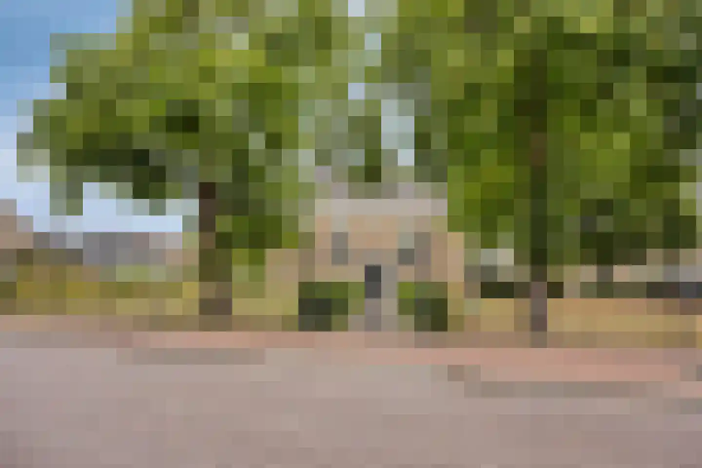 Arendshof 339 Oosterhout thumbnail 38