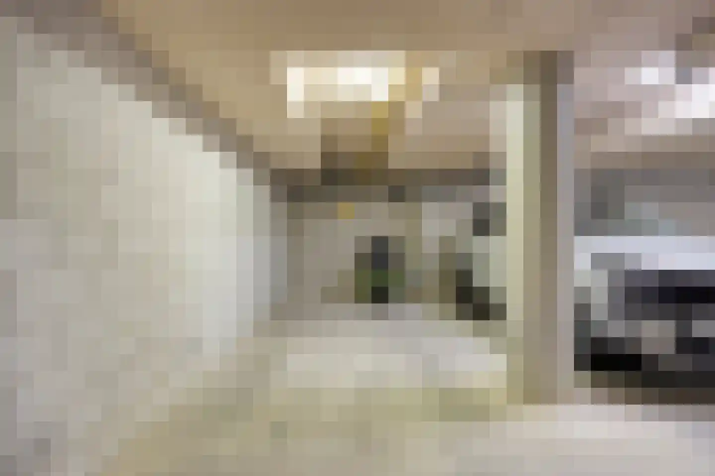 Arendshof 389 Oosterhout (NB) thumbnail 51