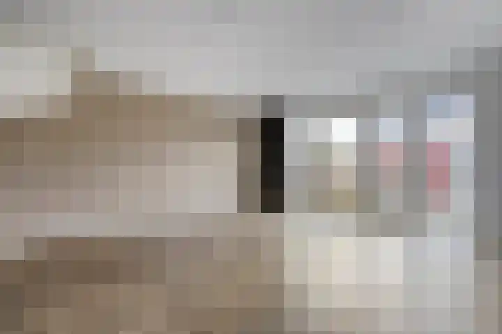 Arendshorst 11 Raalte thumbnail 10