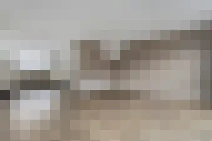 Arendshorst 11 Raalte thumbnail 11