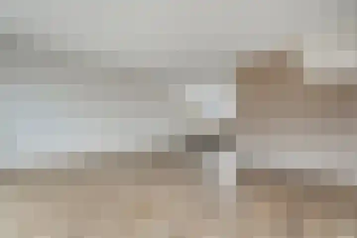 Arendshorst 11 Raalte thumbnail 12
