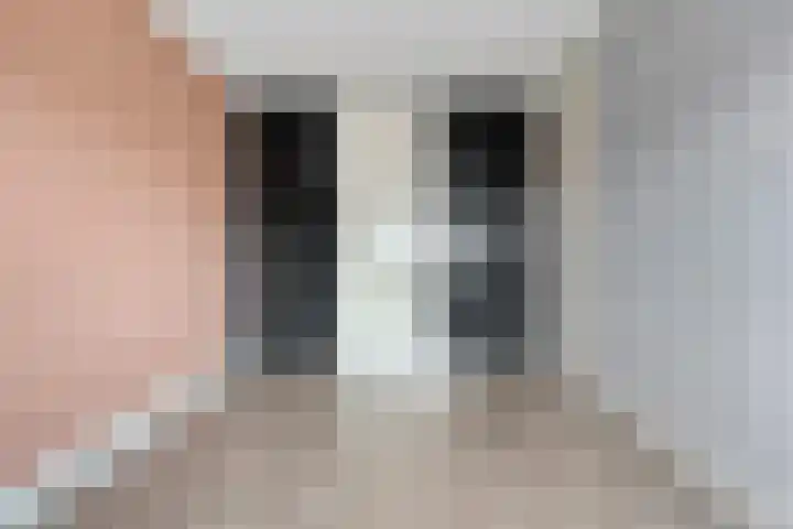 Arendshorst 11 Raalte thumbnail 21