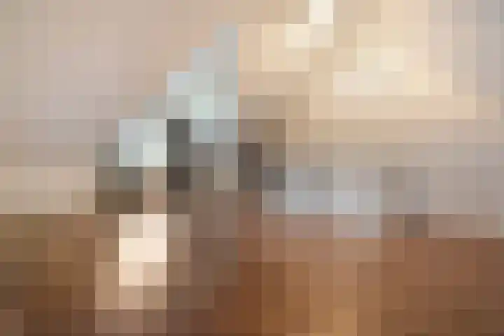 Arendshorst 11 Raalte thumbnail 29
