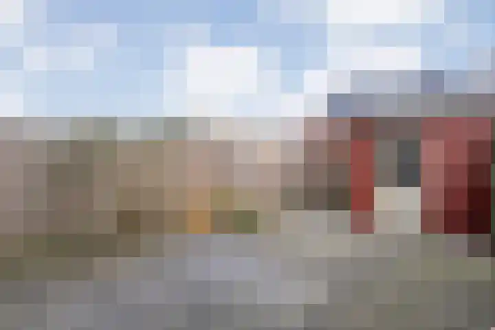 Arendshorst 11 Raalte thumbnail 32