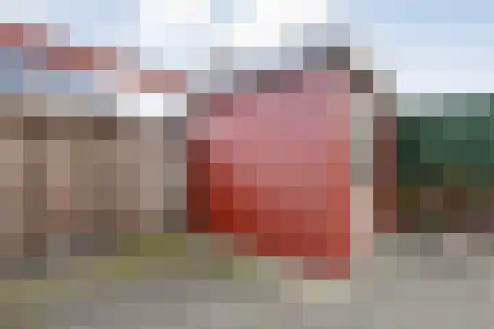 Arendshorst 11 Raalte thumbnail 33
