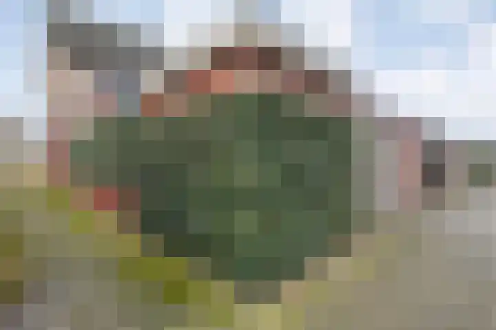 Arendshorst 11 Raalte thumbnail 35
