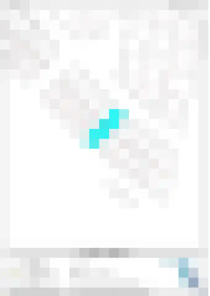 Arendshorst 11 Raalte thumbnail 37
