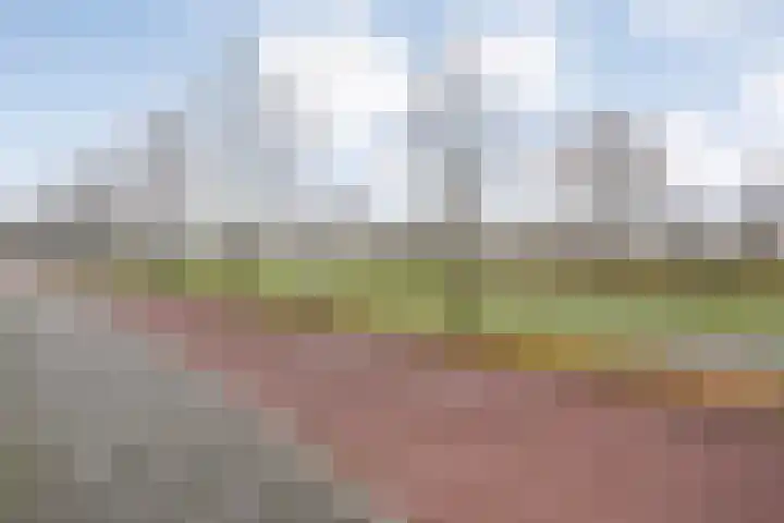 Arendshorst 11 Raalte thumbnail 4