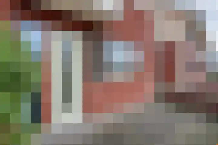 Arendshorst 11 Raalte thumbnail 5