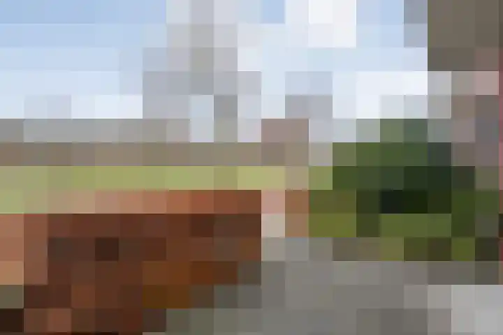 Arendshorst 11 Raalte thumbnail 6