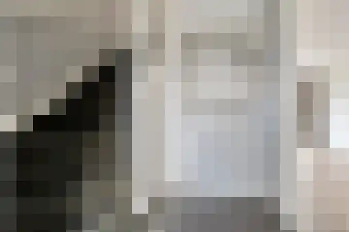Arendshorst 11 Raalte thumbnail 8