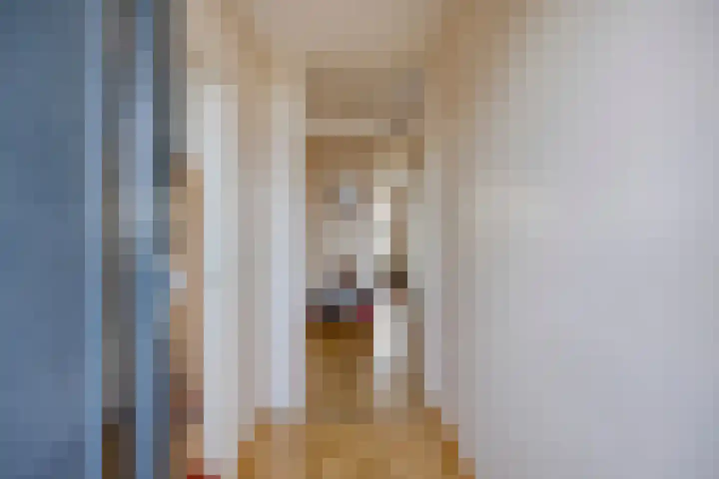 Arendshorst 124 Leiden thumbnail 10