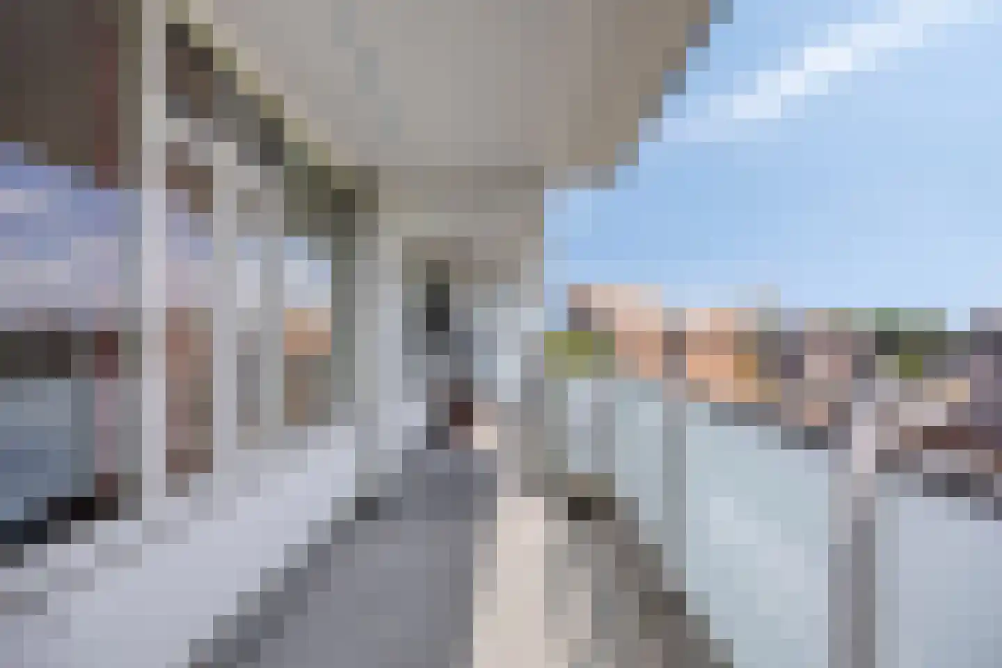 Arendshorst 124 Leiden thumbnail 15