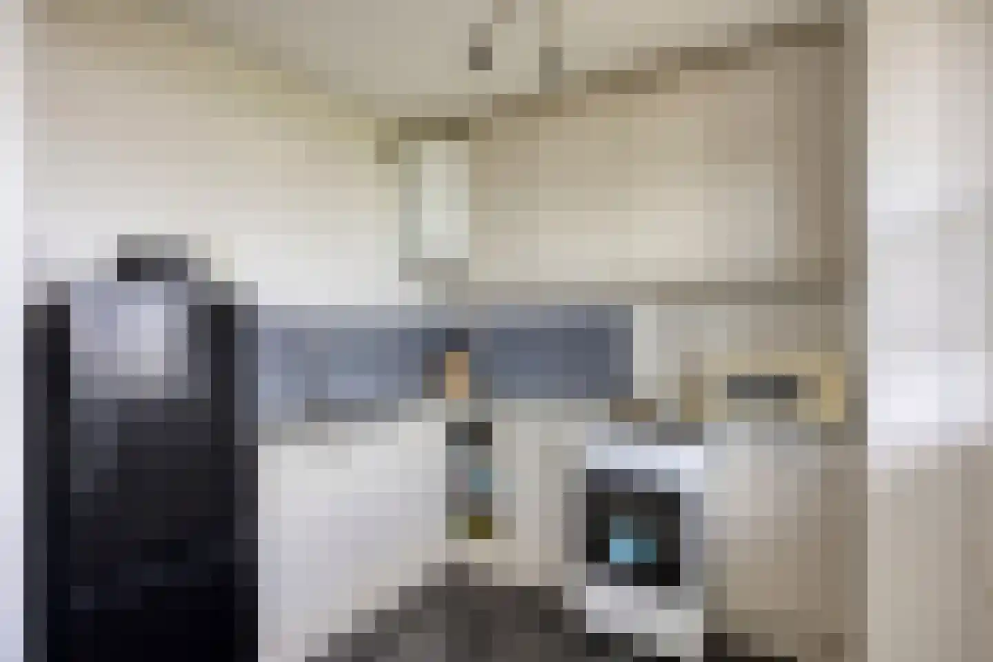 Arendshorst 124 Leiden thumbnail 17