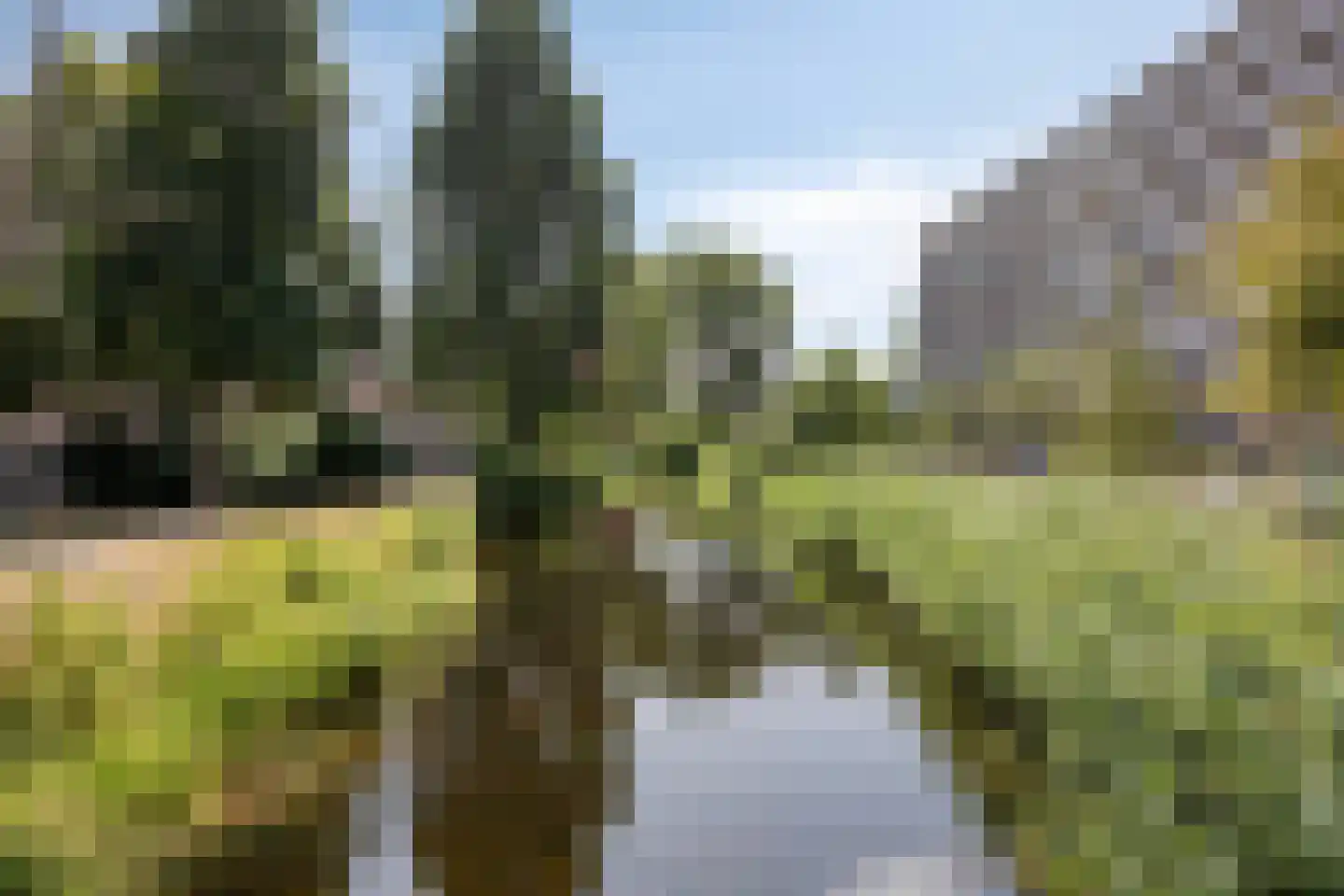 Arendshorst 124 Leiden thumbnail 31