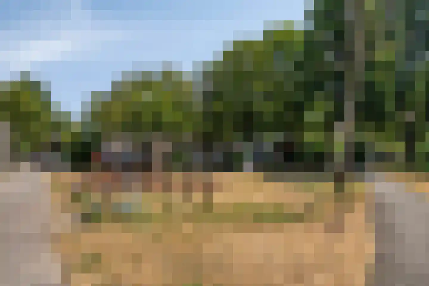 Arendshorst 124 Leiden thumbnail 32