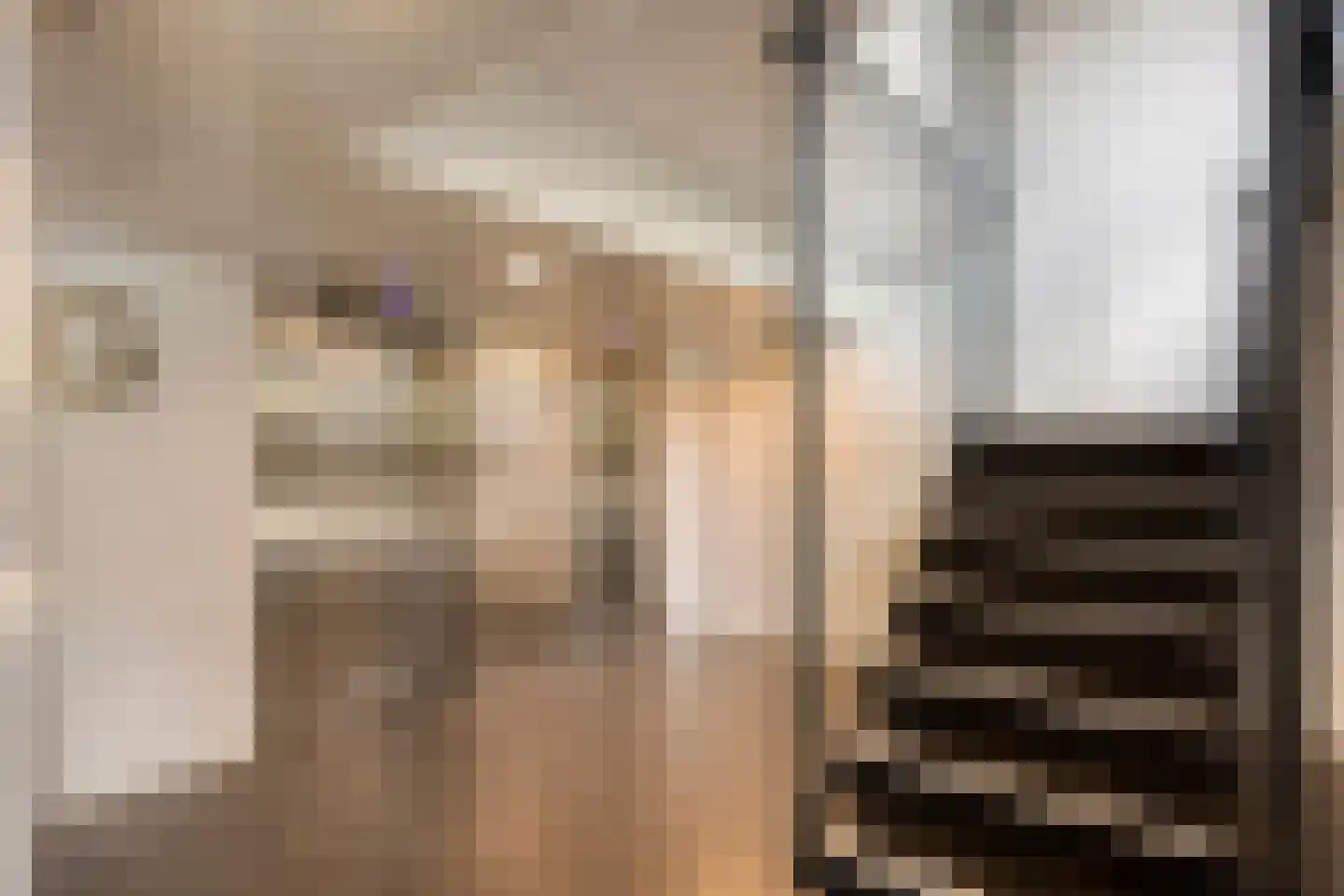 Arendshorst 124 Leiden thumbnail 9