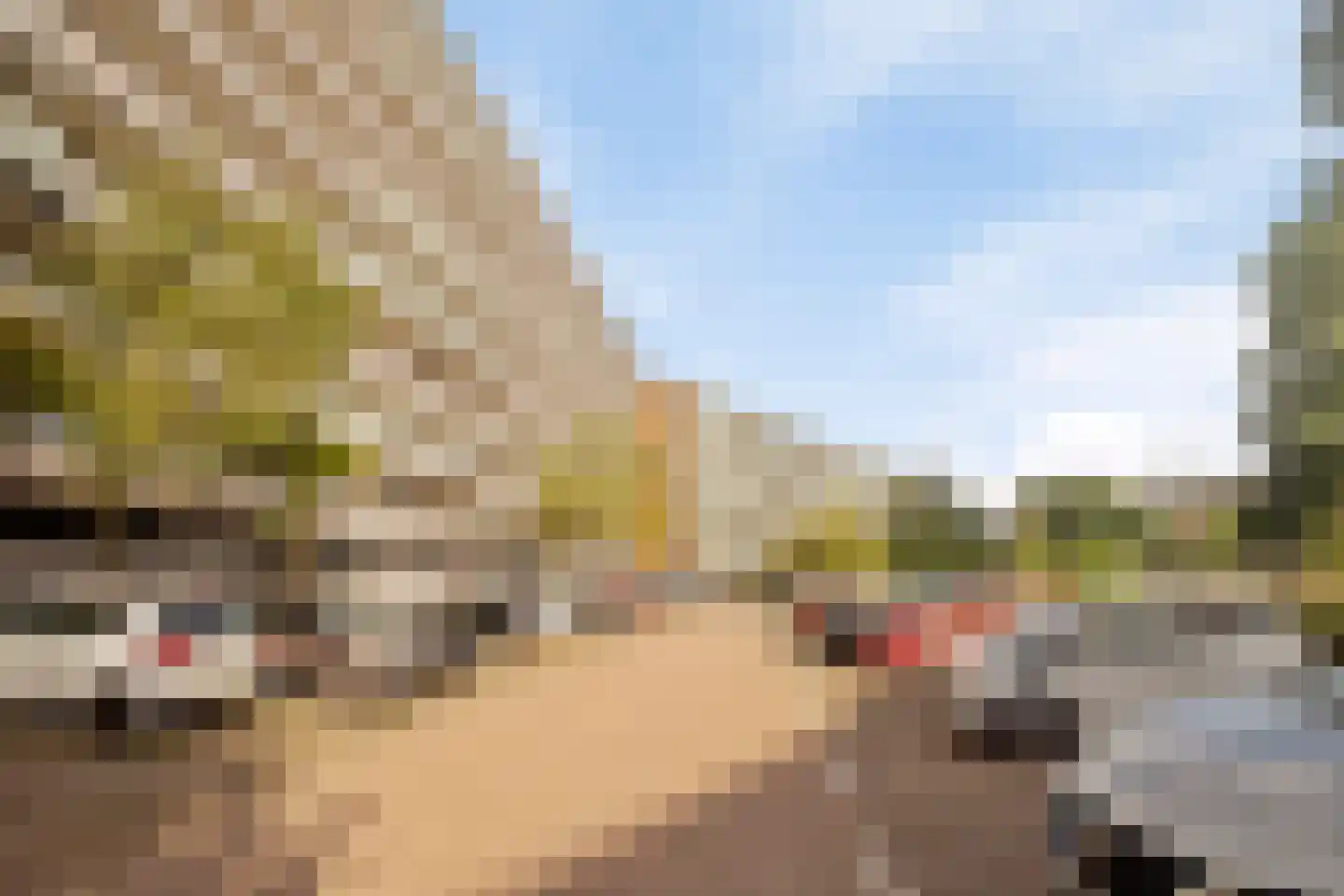 Arendshorst 152 Leiden thumbnail 10