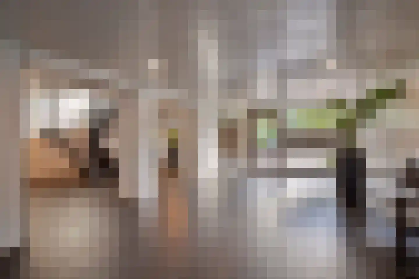 Arendshorst 152 Leiden thumbnail 13