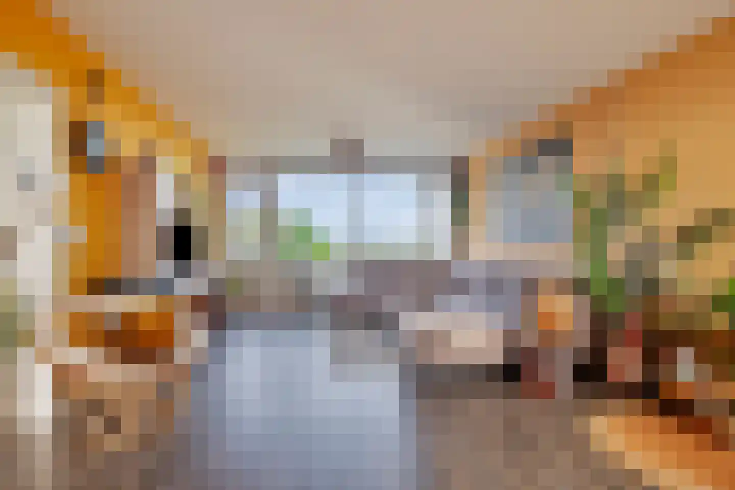 Arendshorst 152 Leiden thumbnail 17
