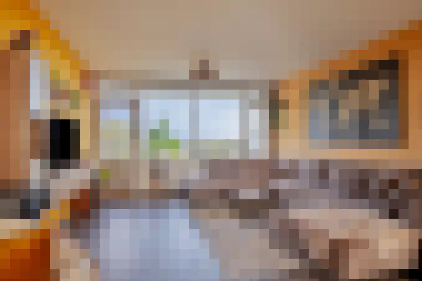 Arendshorst 152 Leiden thumbnail 18