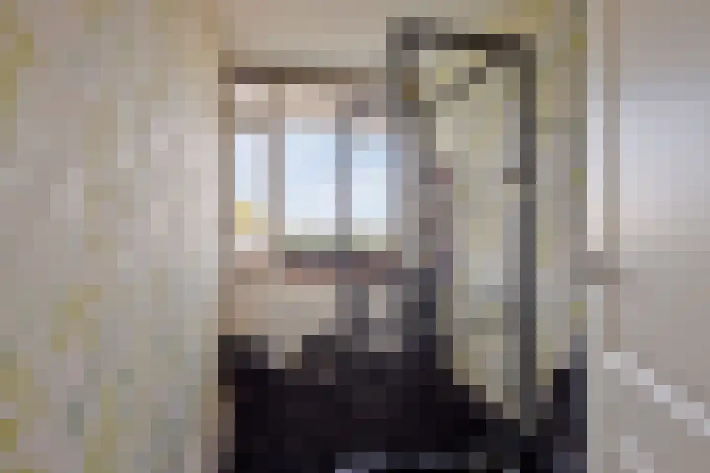 Arendshorst 152 Leiden thumbnail 29