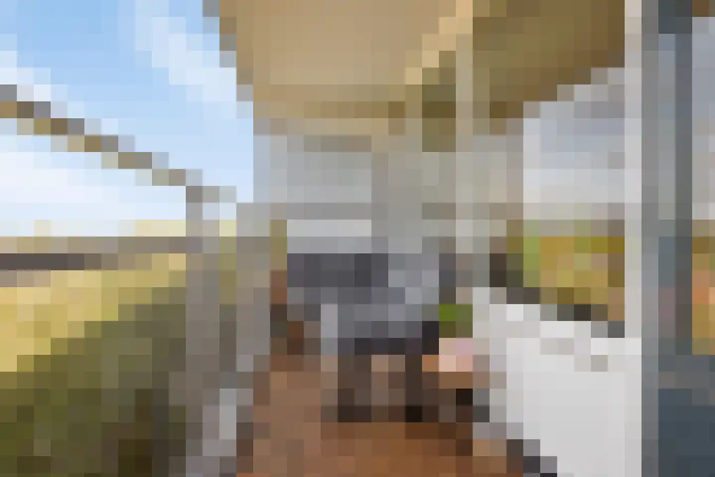 Arendshorst 152 Leiden thumbnail 30