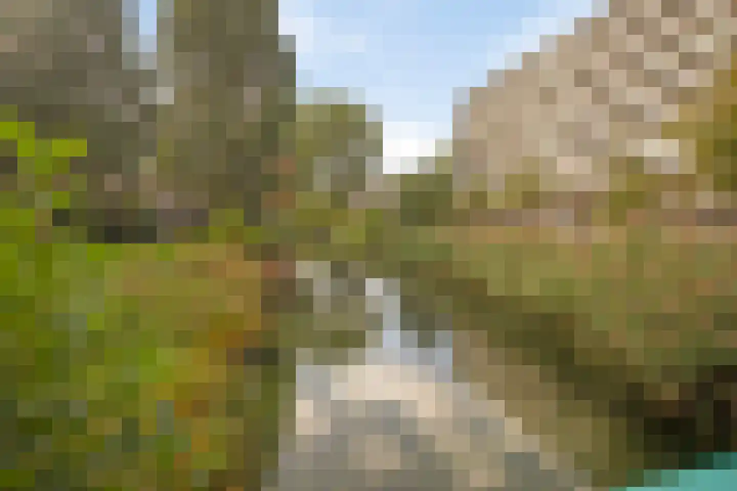 Arendshorst 152 Leiden thumbnail 35