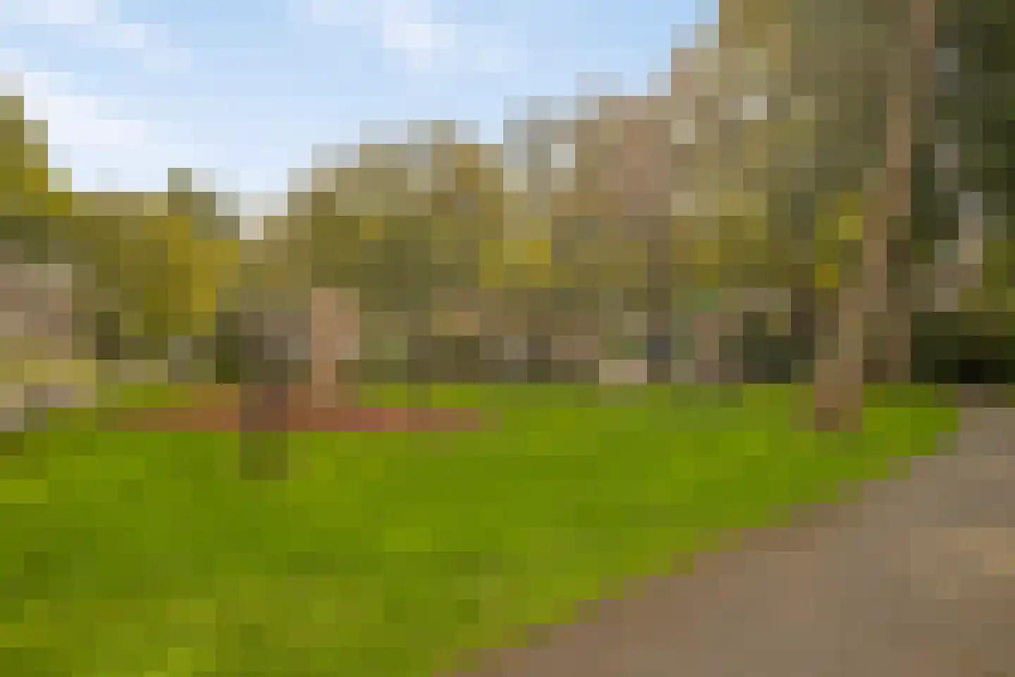 Arendshorst 152 Leiden thumbnail 36