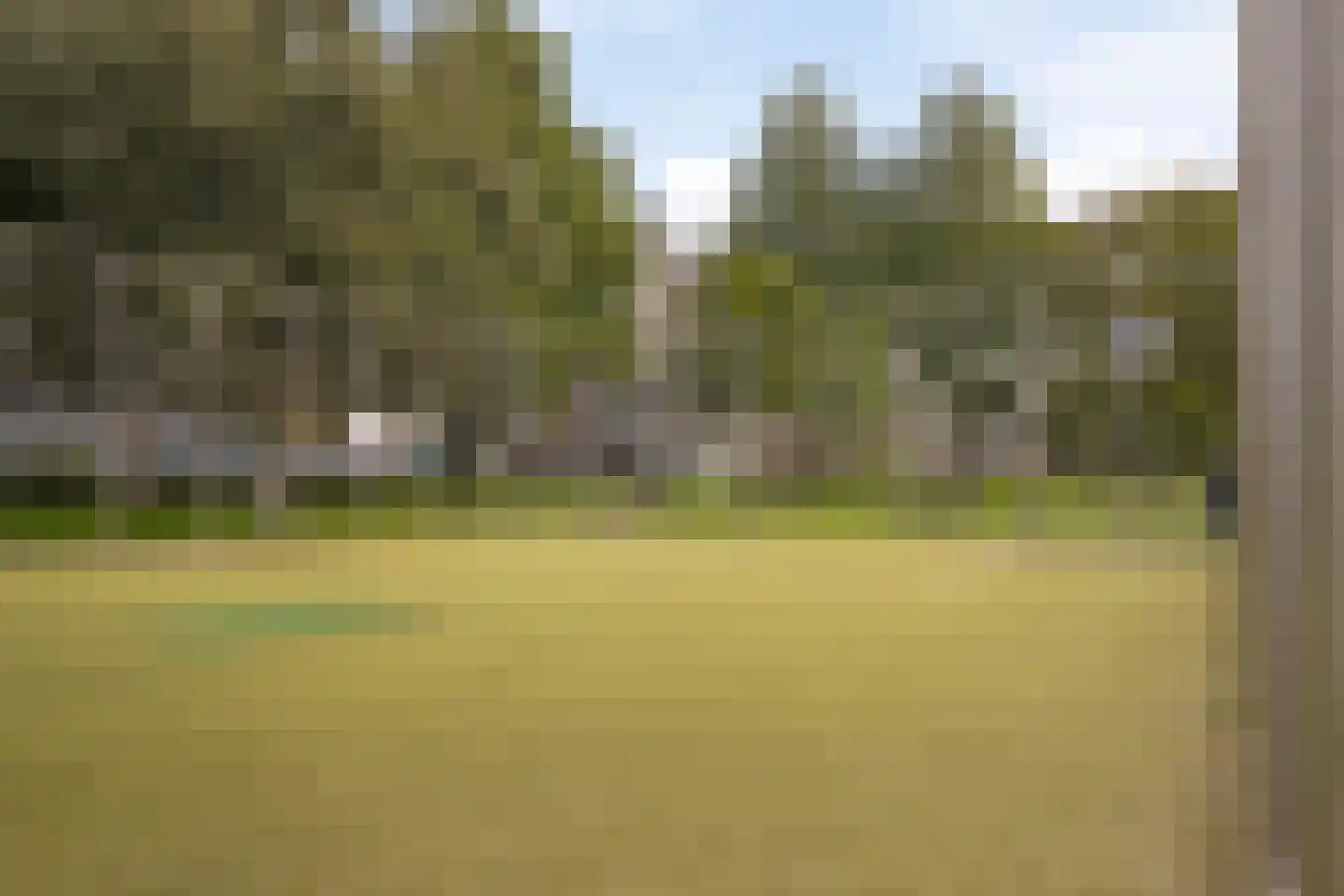 Arendshorst 152 Leiden thumbnail 37