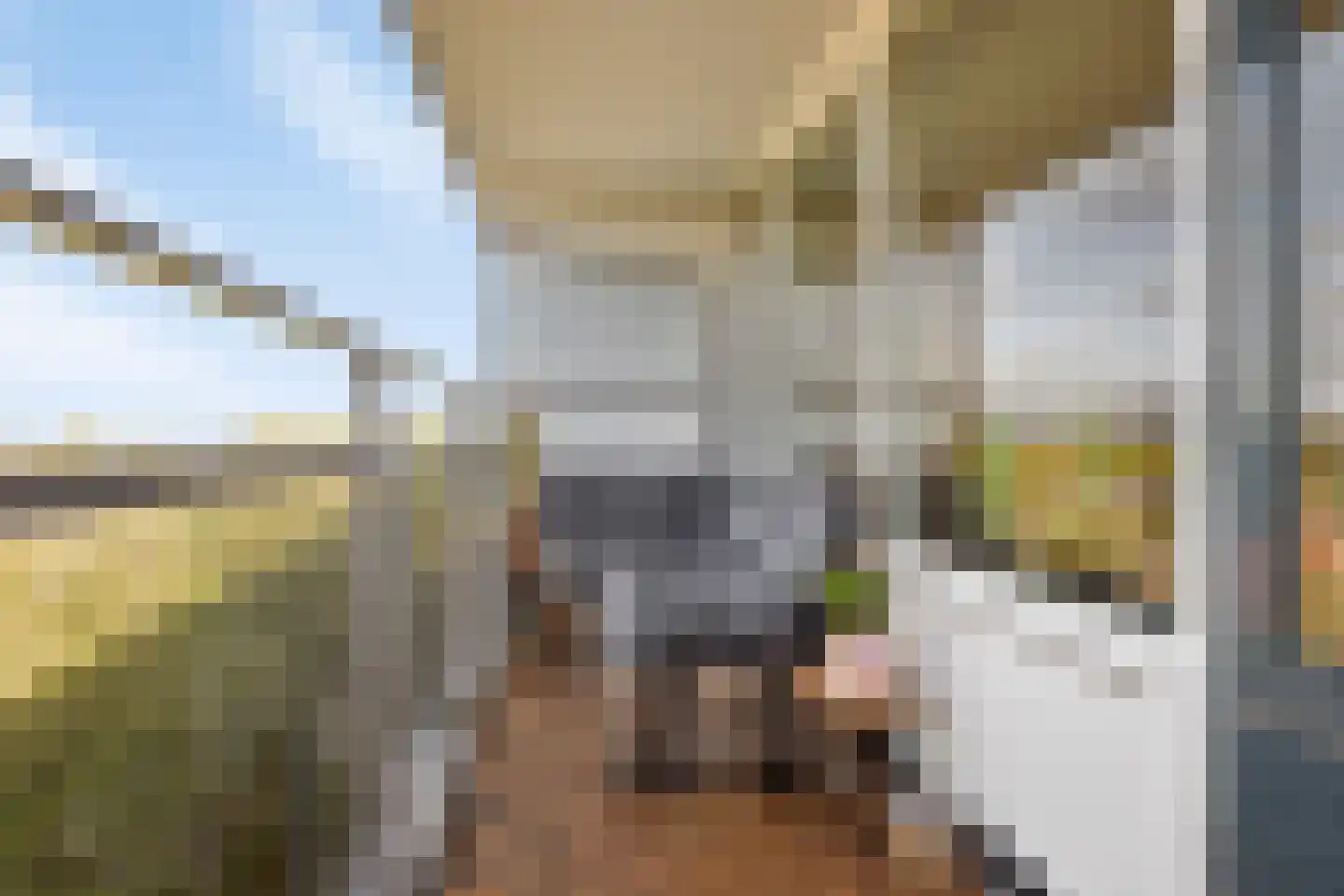 Arendshorst 152 Leiden thumbnail 7