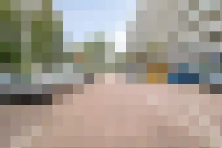 Arendshorst 157 Leiden thumbnail 36