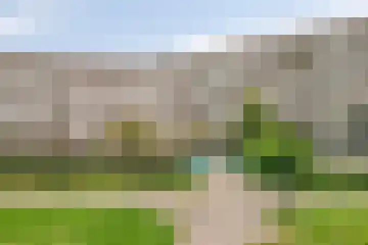 Arendshorst 157 Leiden thumbnail 37