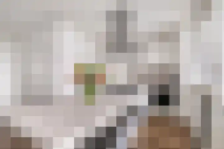 Arendshorst 157 Leiden thumbnail 4