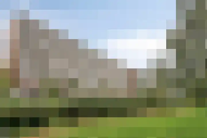 Arendshorst 157 Leiden thumbnail 7