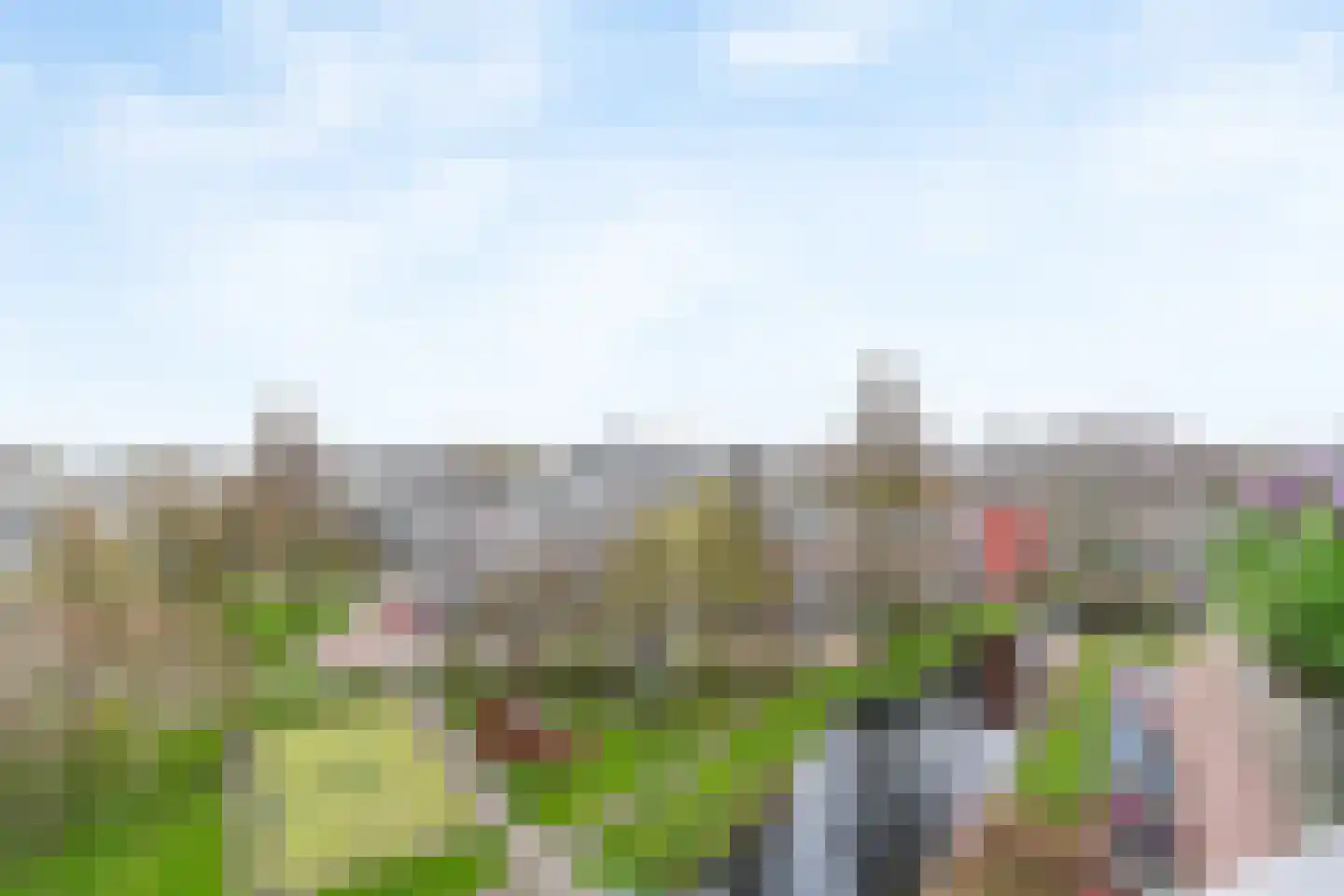 Arendshorst 161 Leiden thumbnail 26